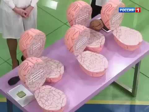 Сотрясение мозга: симптомы, последствия и лечение