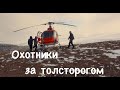 Охотники за толсторогом. Плато Путорана. Сибирь / Bighorn Sheep Hunters  / Siberia