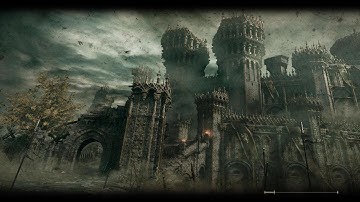 Another Hacker Exposed In ELden Ring Pvp