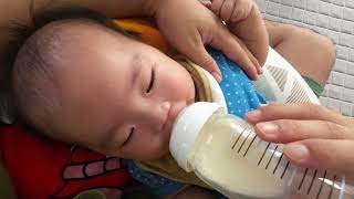 【ASMR】パパ視点で見る赤ちゃんがミルクを飲む様子。