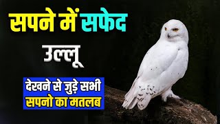 Sapne me Safed Ullu Dekhna | Seeing White Owl in Dream | Safed Ullu ka Sapna Dekhna