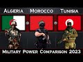 Algeria vs morocco vs tunisia military power comparison 2023  global power