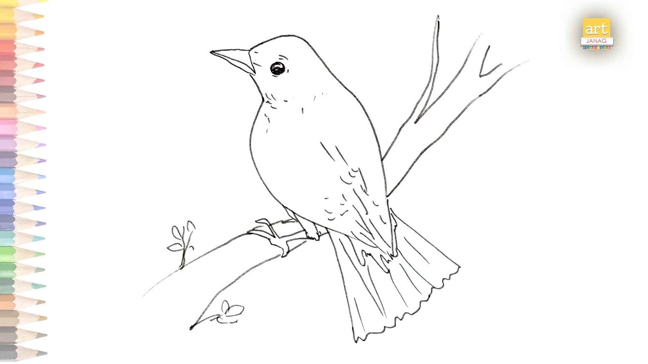 Nightingale bird sketch Royalty Free Vector Image