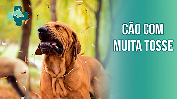 O que pode ser quando o cachorro parece estar engasgado?