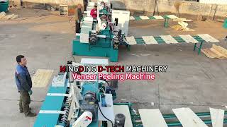 Veneer Peeling Machine Spindle-less Core and Face Veneer Peeler Manufacturer