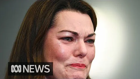 Greens senator Sarah Hanson-Young wins defamation ...