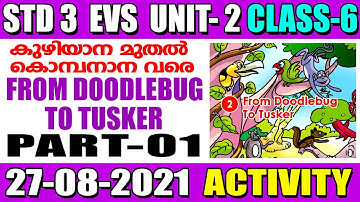 STD 3 EVS CLASS 3 UNIT 1 From Doodlebug to Tusker PART 01kuzhiyana Muthal Kombanana Vare August 27