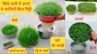 घर प बन मटट-पन म उगई जन वल सबजयSoiless Methodhydroponic Method To Grow Herbs