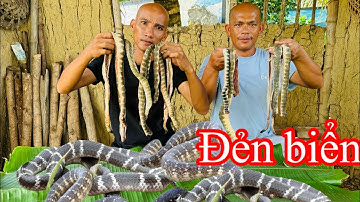 Phong Tóc Dài Nấu Món Đẻn Biển Xào Xả Ớt - Toàn Đen Sơn Dược Vlog