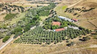 FOR SALE - Olive Stone Ranch - 2727 Thomas Road Hollister, California 95023