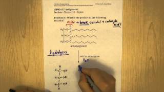 chapter 15 problem 5