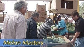 Growing California video series: Melon Masters