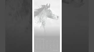 The Browntrout Portrait Series The Noble Horse  2026 Wall Calendar