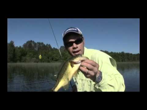 Northland Fishing Tackle - Spinners and Buzz Baits 