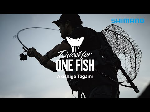 Quest for ONE FISH / 盛夏の徳島県でシーバスを追う田上の“リアルシーバス”