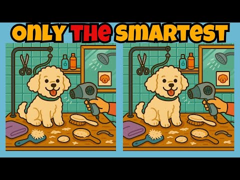 Only the Sharpest Minds Can Spot These! (Find the Difference #13)