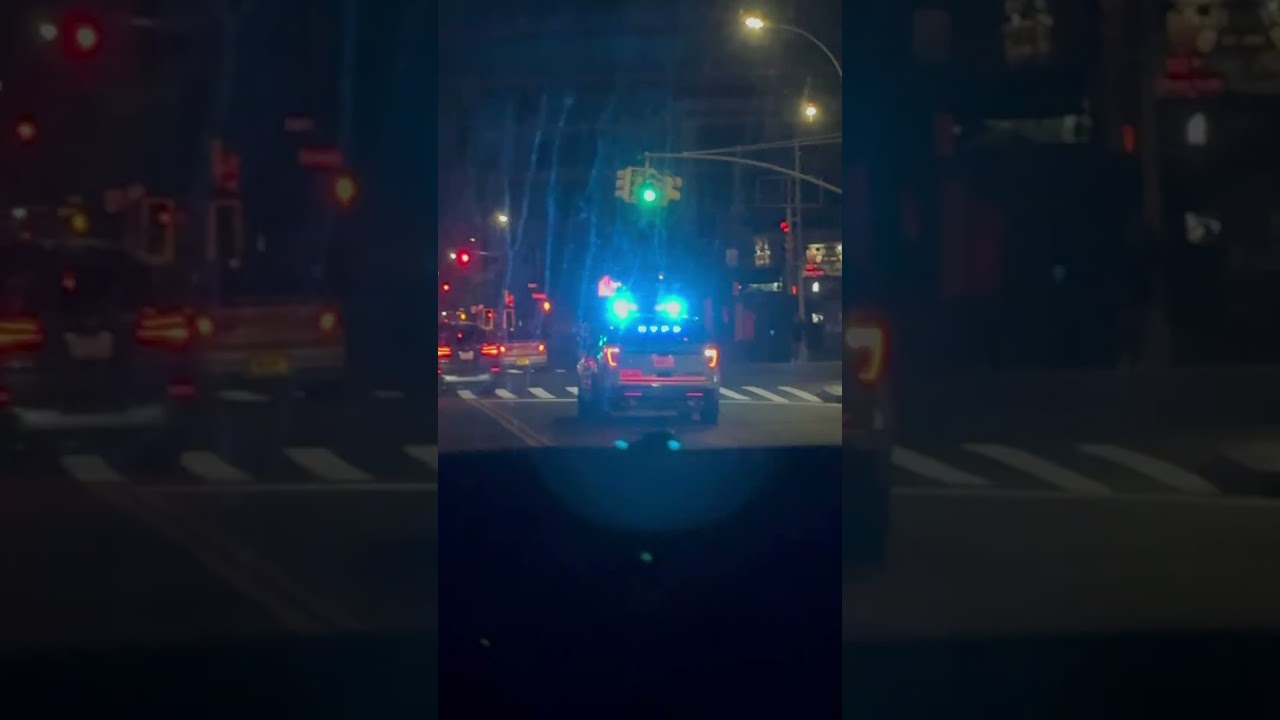 NYPD deterring crime 