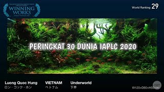 PERINGKAT 30 DUNIA IAPLC (THE INTERNATIONAL AQUATIC PLANTS LAYOUT CONTEST) 2020