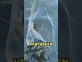 Deshalb fängst du bei klarem Wasser keinen Zander