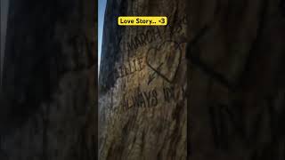 RDR2 I Found The Love Story Of Two Chickens In Love #shorts #rdr2 @Player-13