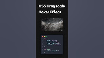 CSS Grayscale Image Hover Effect   #shorts