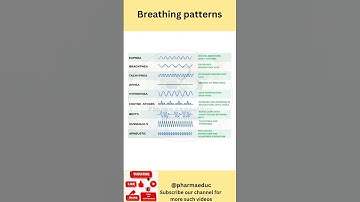 Types of Breathing Patterns Explained | Apnea, Cheyne-Stokes, Kussmaul’s, and More! 🫁 | Must know