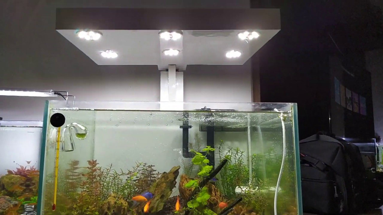 AQUA NANO PLANTADO #31 | Luminária Caseira x 