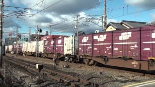 2070レ EF66 126 2013年12月