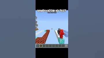 Vindicator Iq test Sigma boy. #minecraft