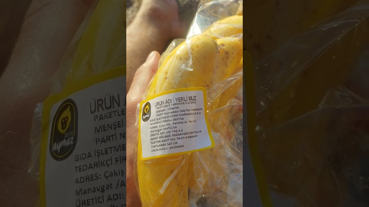 На юге Турции выращивают очень много вкусных натуральных и ароматных бананов