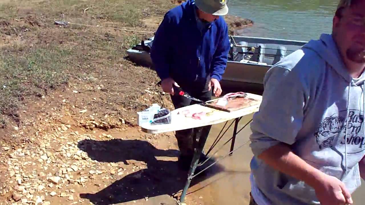 white bass oklahoma lake tenkiller white bass horseshoe bend 4710 YouTube