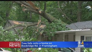 Woman Rescued By Neighbors After Tree Falls On Framingham Home