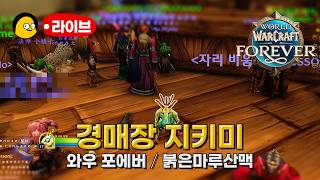 [와우포에버:베타] 월요 수면보고서 | 멀록 플레이 | 폐광을 위한 랩업 | World of Warcraft: Forever