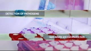 RESFOOD project video - short version