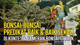 Bonsaibonsai Predikat Baik Dan Baik Sekali Di Kontes Dan Pameran Bonsai Ciwalk Bandung