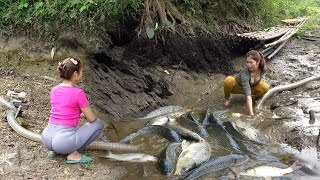 Top Video: Survival Fishing, Fishing Techniques Harvesting Many Big Fish - Survival Skills