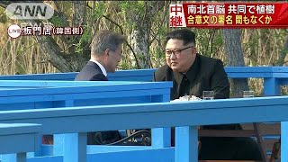 南北首脳が共同で植樹　合意文の署名、間もなくか(18/04/27)