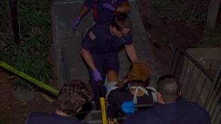 Woman Suffers Major Injuries After Pit Bull Attack Inside La Mesa Home