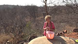 Enjoy the simplicity and depth of a single Crystal Alchemy Singing Bowl in the African Bush ❤️🎧
