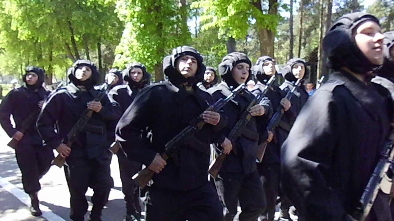 Парад авто борисов контакты