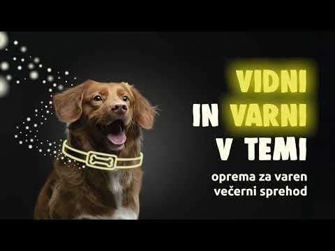 Vidni in varni v temi | Mr.Pet - video from MR Pet