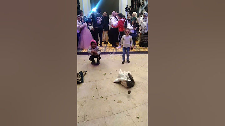 بنت بترقص عقباوى مع يوسف العالمي مين يكسب فيدو كامل جوه قناه خشو شوفوه تحدى