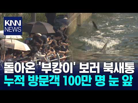 '부캉이' 열풍에 '페스티벌 시월'까지…가을 나들이객 '북적' / KNN
