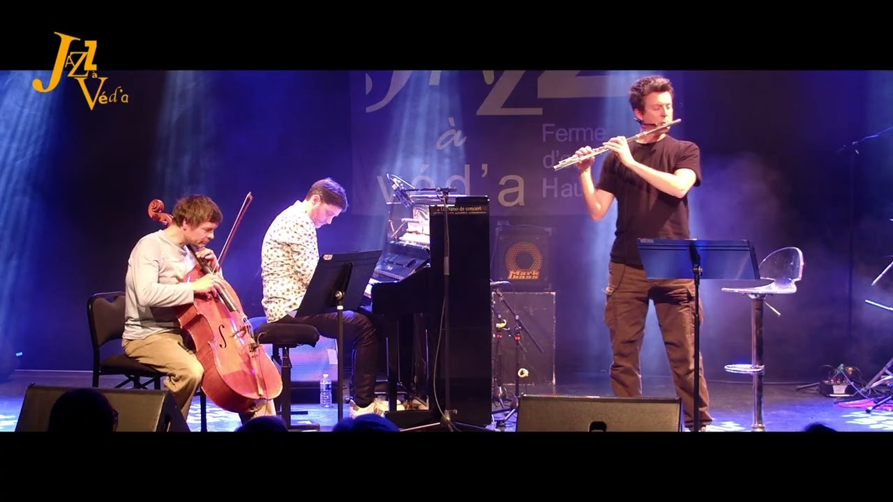 Malinconico (F volanti)