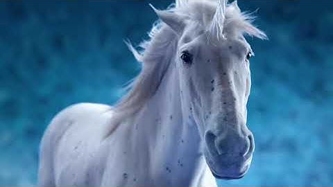 Ice Breakers Commercial   Anthem