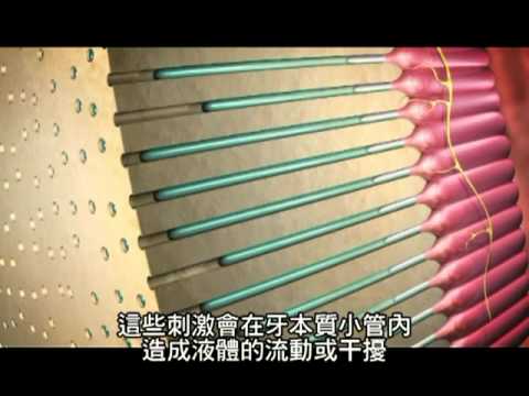 抗敏專家