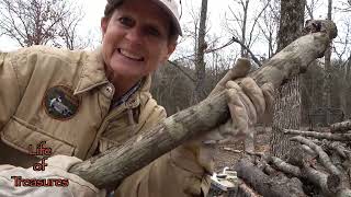 Wood production by Life of Treasures 84 views 2 months ago 6 minutes, 19 seconds