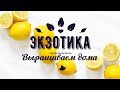 КОМНАТНАЯ ЭКЗОТИКА. Мушмула, пепино или дынная груша, лимон, лавр