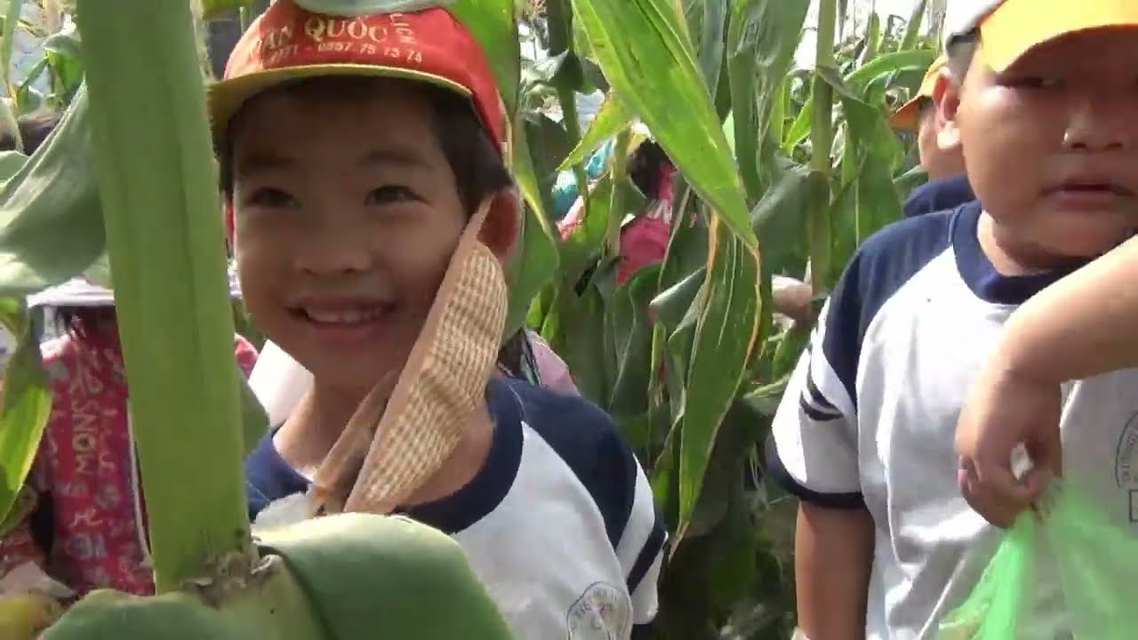 Trường tiểu học Tô Vĩnh Diện ,Q- Bình Thạnh . tp Hồ chí Minh ,năm học 2013-2014(1080p).