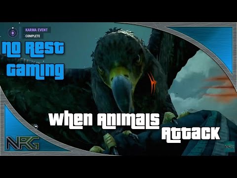 Devilman Presents: When Animals Attack